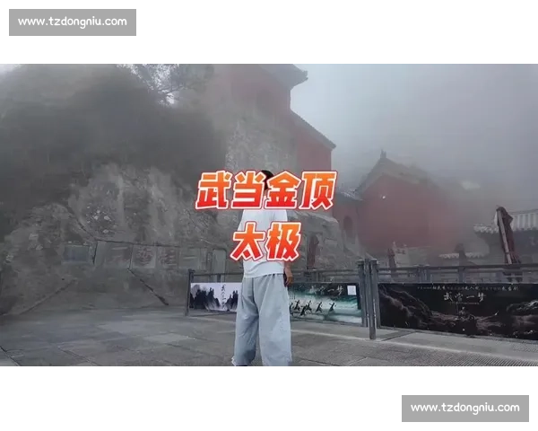 十堰武当太极健身热：一招一式皆惠民